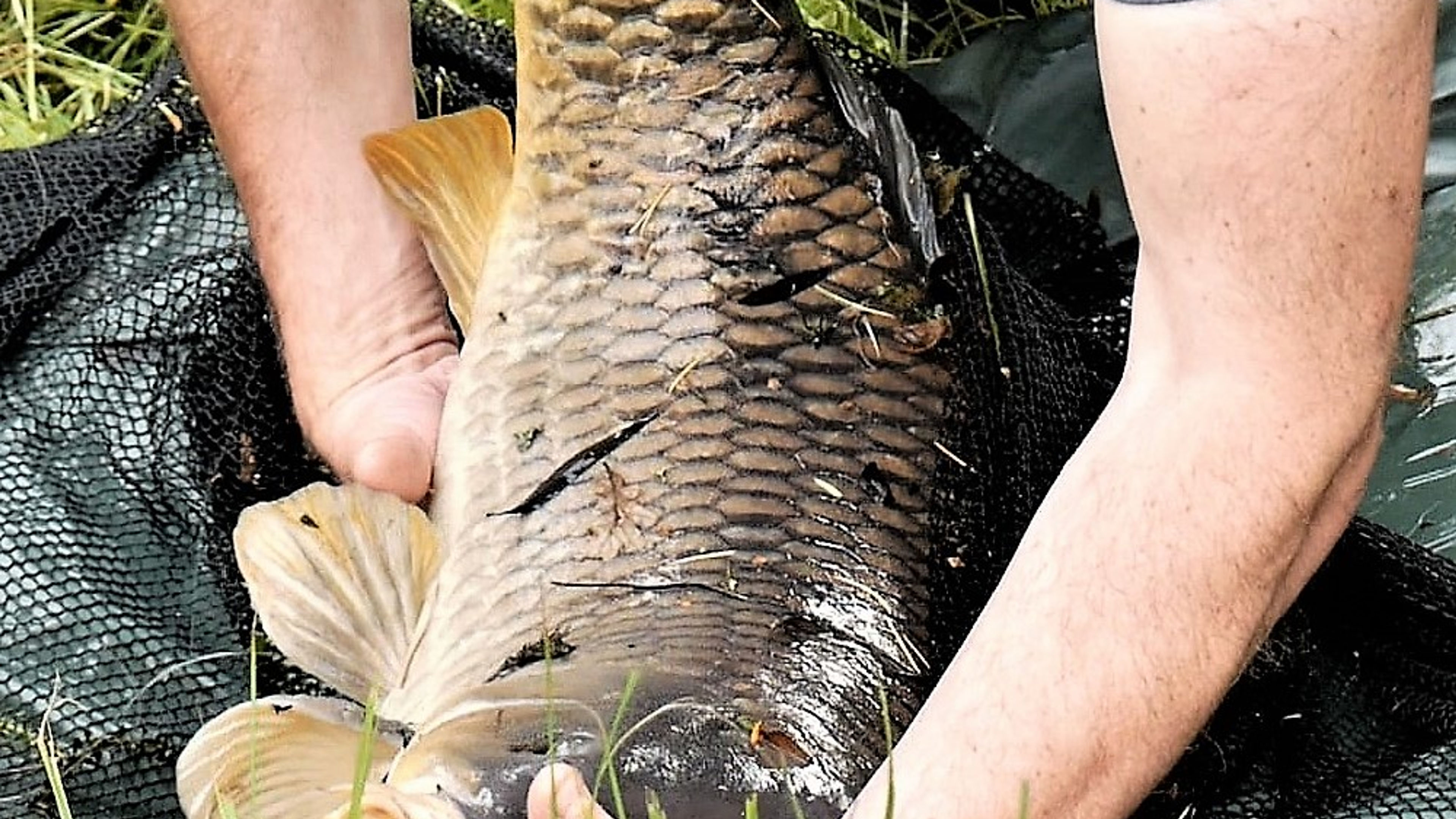 1st Catch Lane Pool1